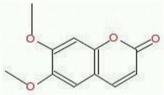 Bactericide composition containing artemisia capillaris thunb extractive and propamocarb hydrochloride as well as application of bactericide composition