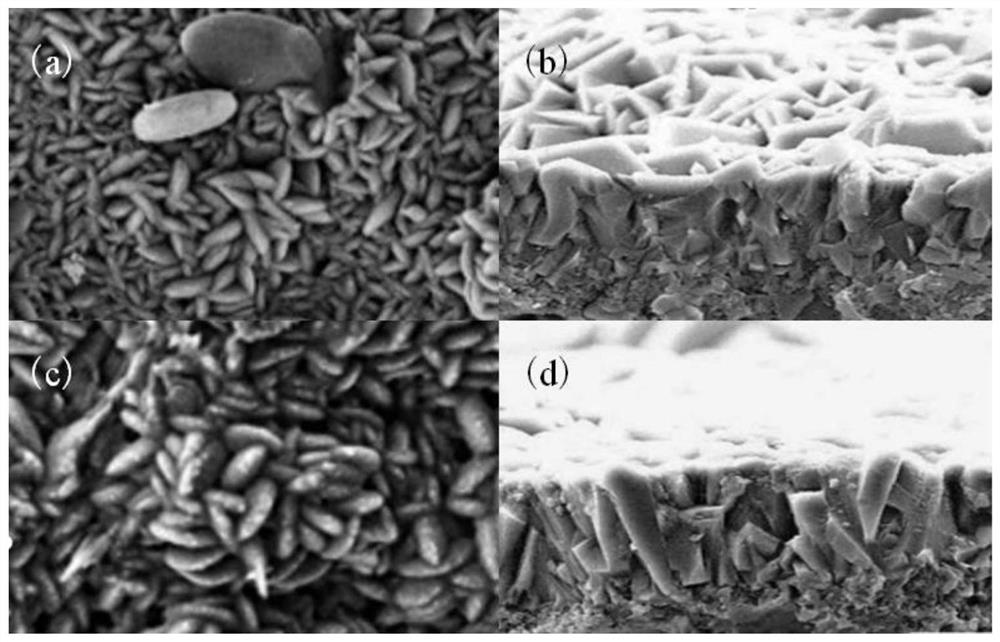 Simple preparation method of continuous compact mordenite membrane