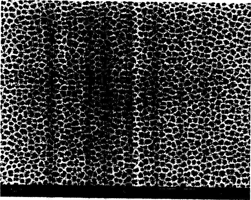 Process for preparing highly-hydrophilic alumina film material