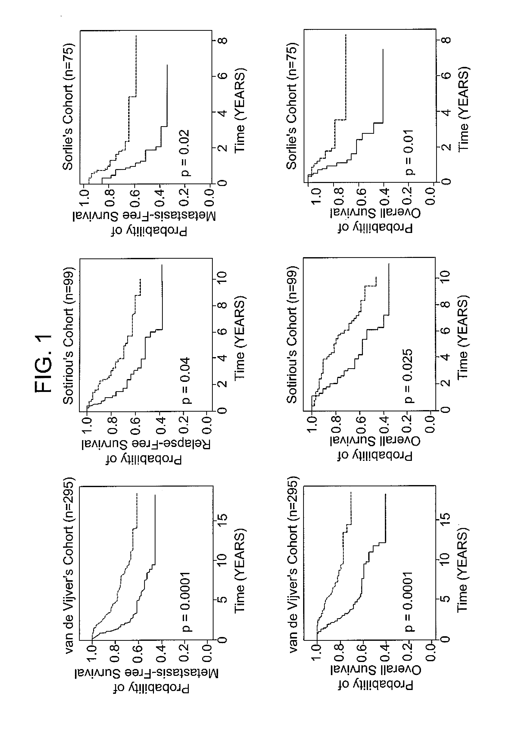 Gene expression signature of genomic instability in breast cancer