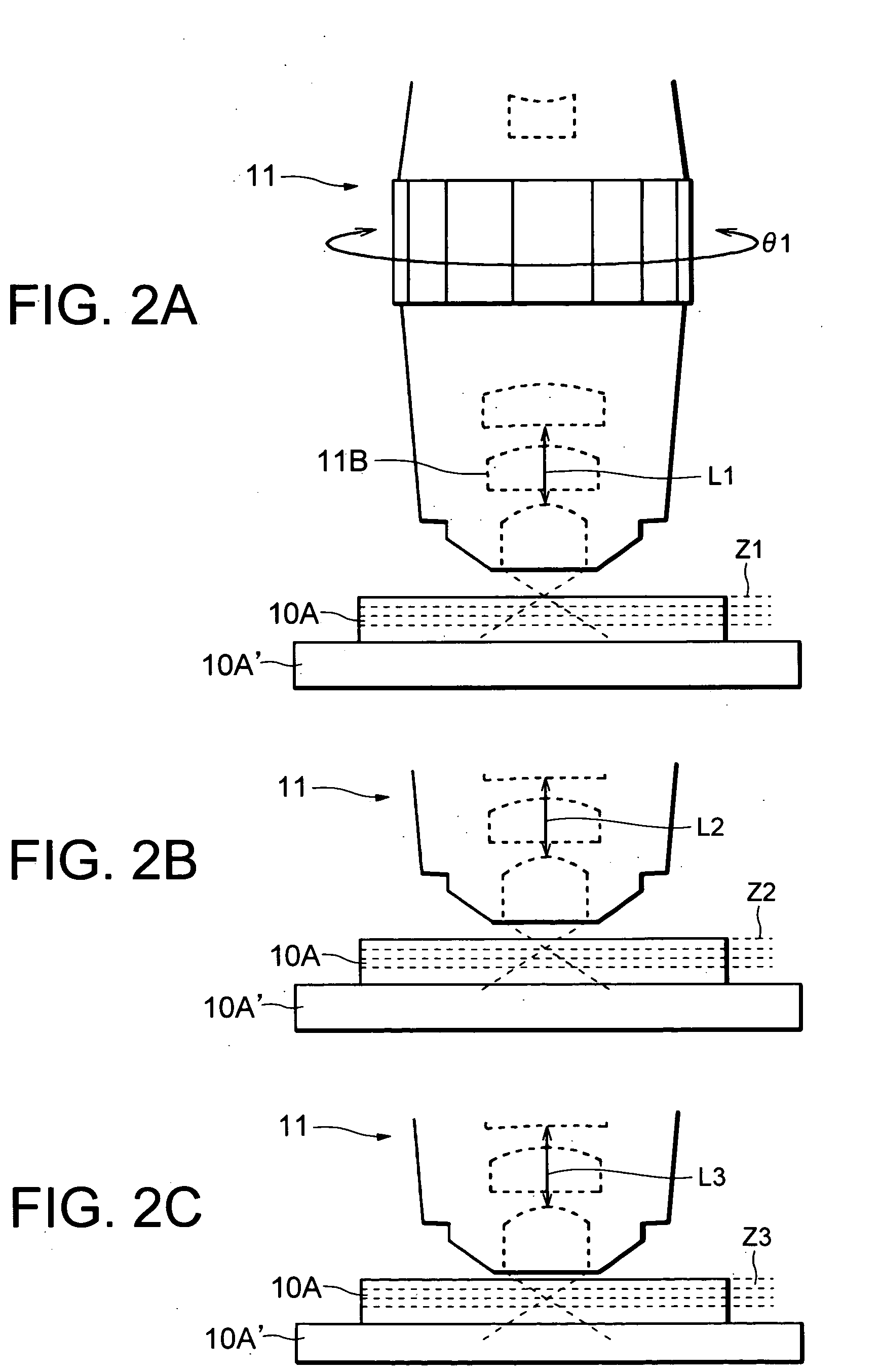 Microscope control apparatus, microscope apparatus and objective lens for microscope