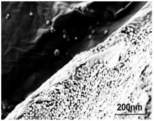 Composite nano-coating material with hydrophobic and anticorrosive performances, and preparation method and application thereof