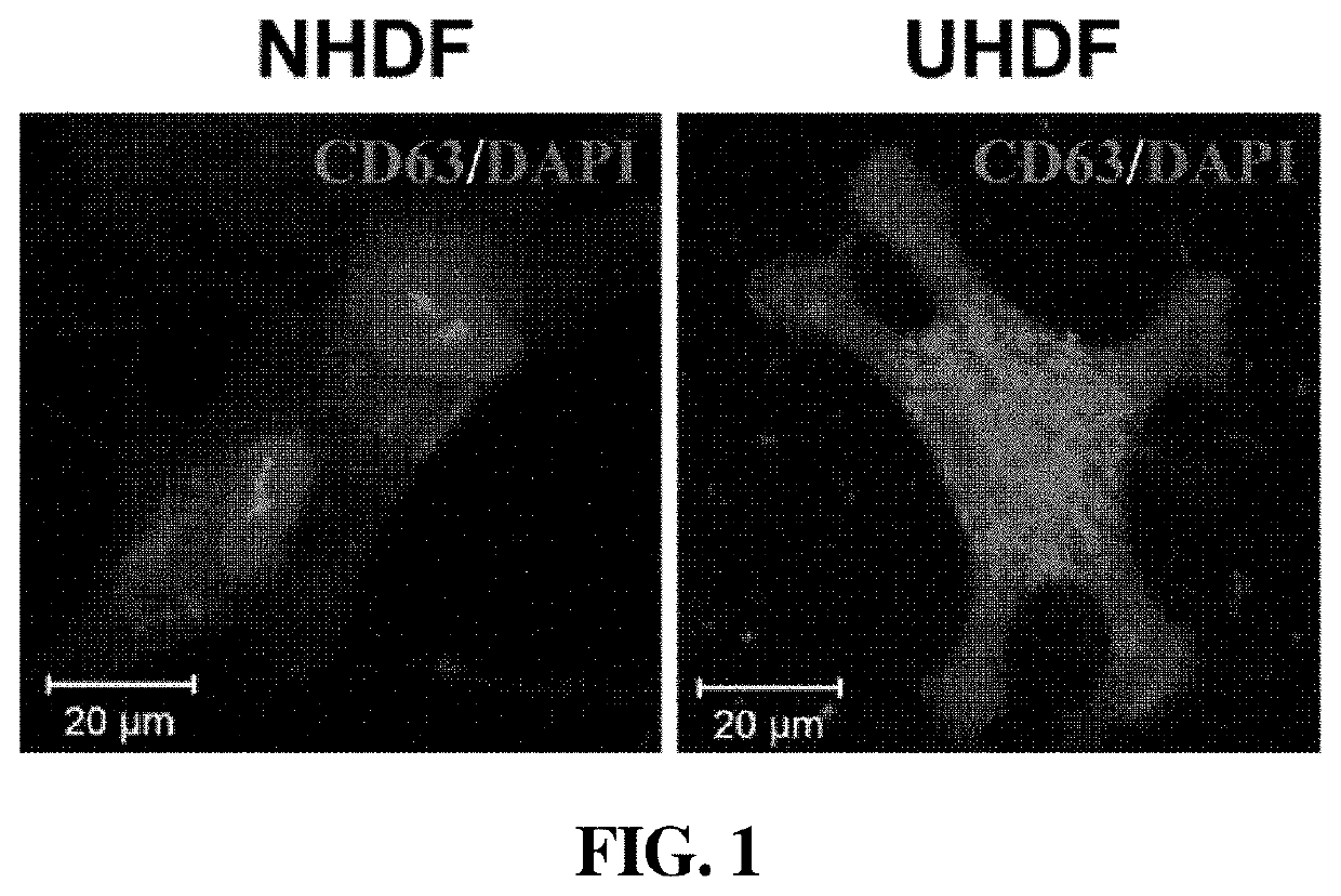 Composition for skin regeneration and wound healing, comprising induced exosomes