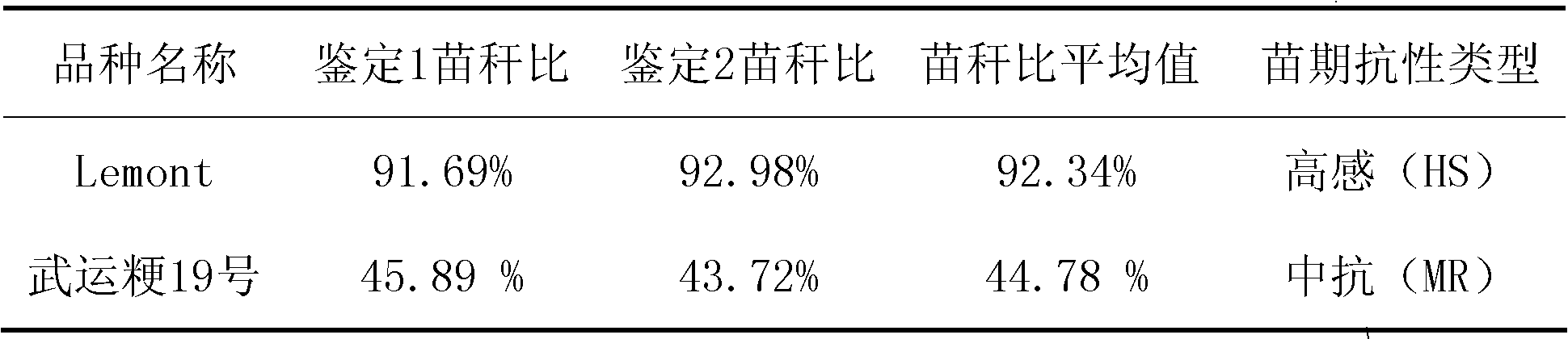 Method for quickly identifying resistance to banded sclerotial blight in rice seedling stage