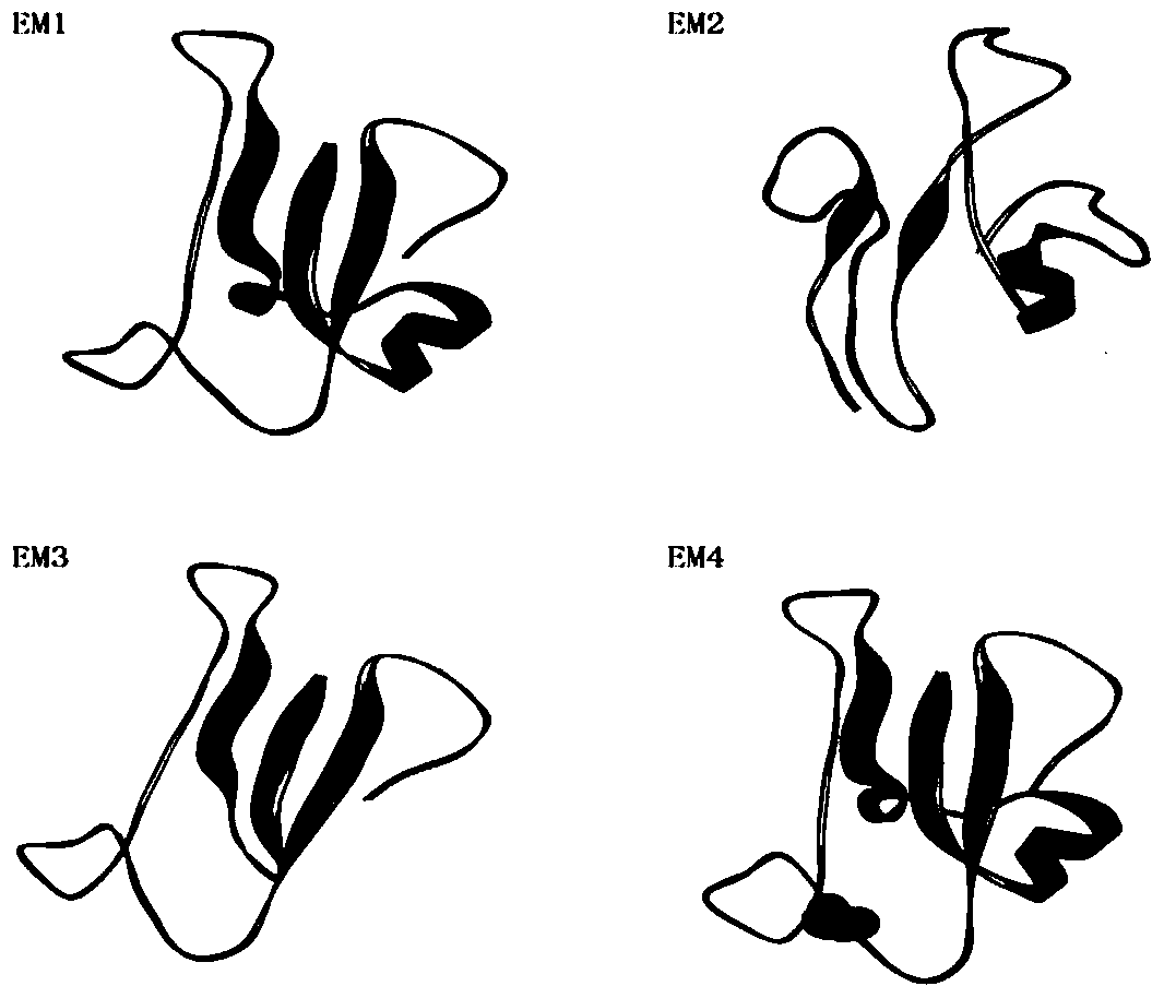 Recombinant erythropoietin hepatocyte receptor a2 antagonist and its coding gene and application