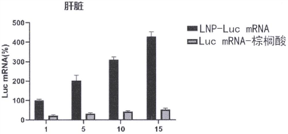 MRNA-fatty acid targeting compound as well as preparation method and application thereof