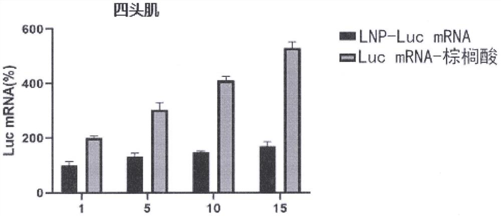 MRNA-fatty acid targeting compound as well as preparation method and application thereof