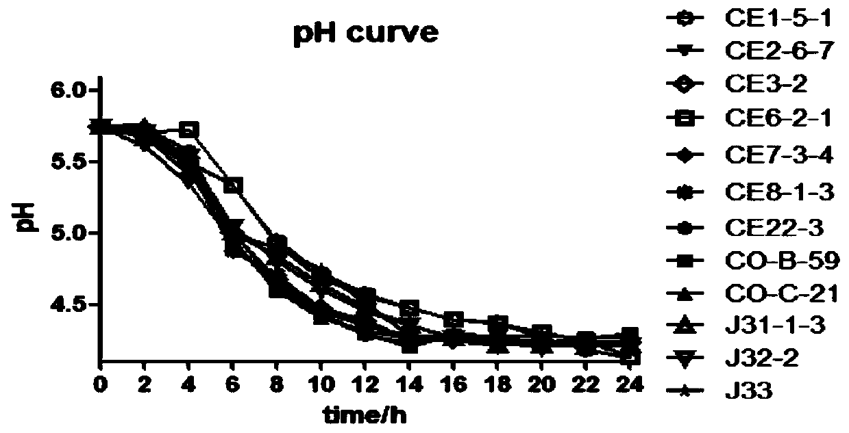 Lactobacillus reuteri LR-CO21 and application thereof