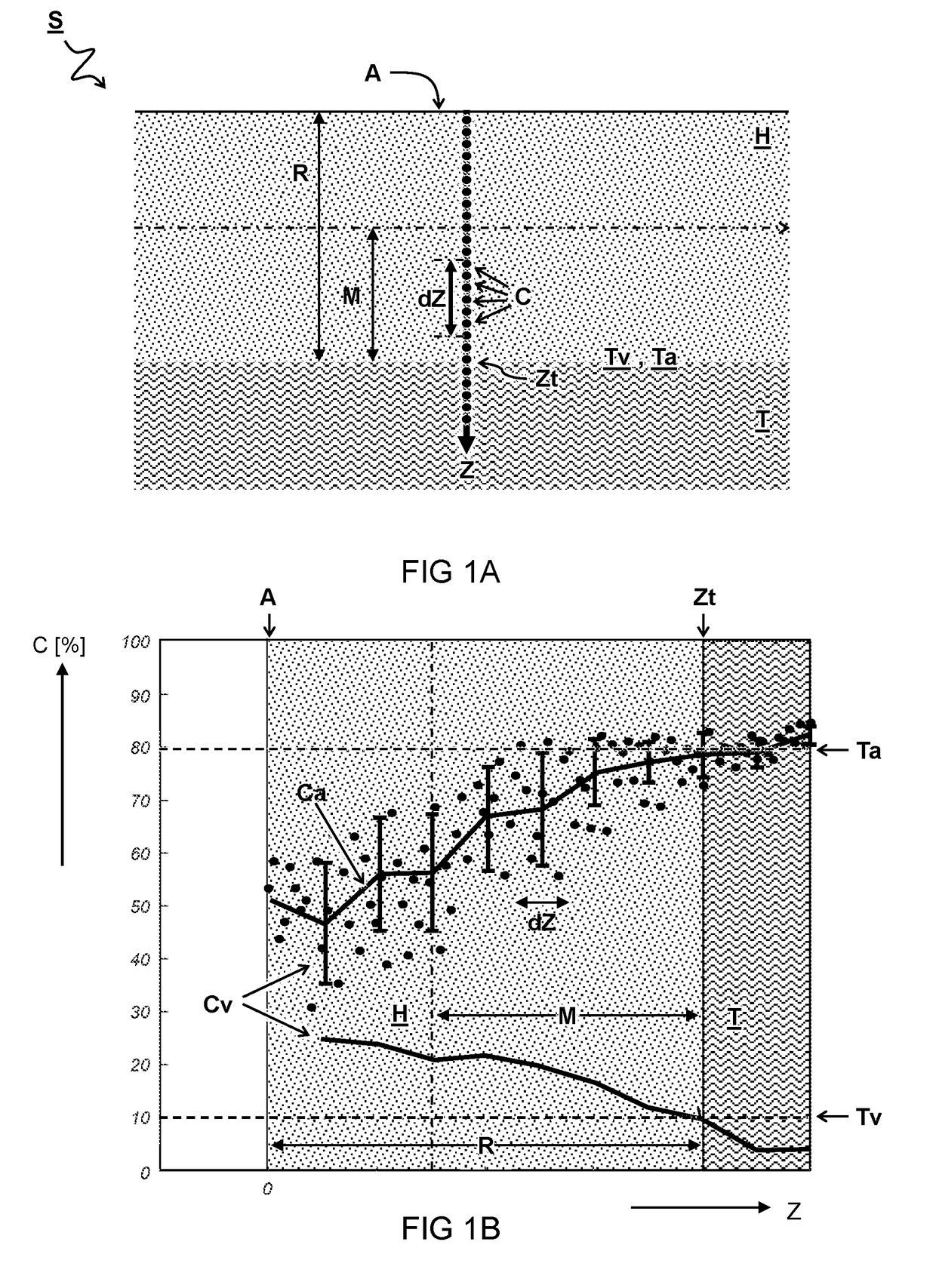 Tissue Sample Analysis