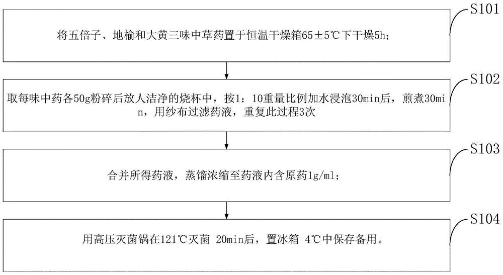 Compound Chinese herbal medicine for inhibiting and killing aeromonas hydrophila as well as preparation method and application of compound Chinese herbal medicine