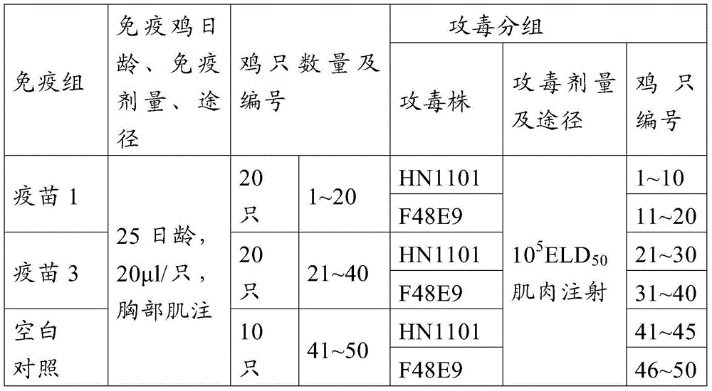 Gene VII-type newcastle disease virus strain, vaccine composition thereof and preparing method and application of vaccine composition