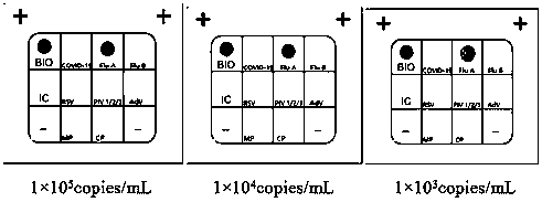 Nucleic acid combined testing kit of respiratory tract infection pathogens