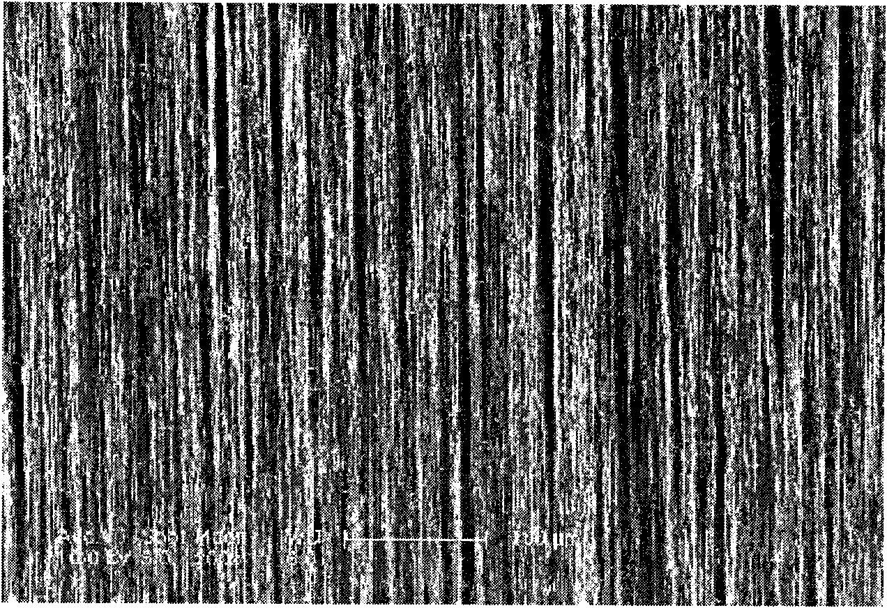 Touch screen and display device