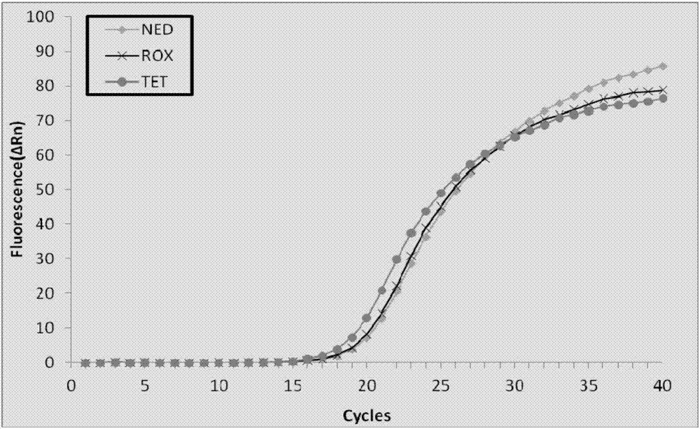 Detection kit for human fructosediphosphate aldolase B gene and detection method thereof