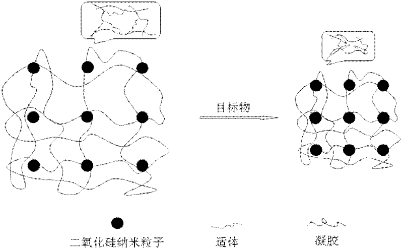 Colloidal crystal gel label-free visual detection method with aptamer as identification unit