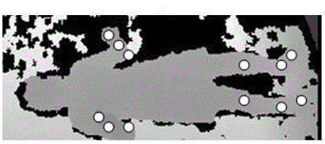 Epileptic seizure monitoring method and system based on depth data