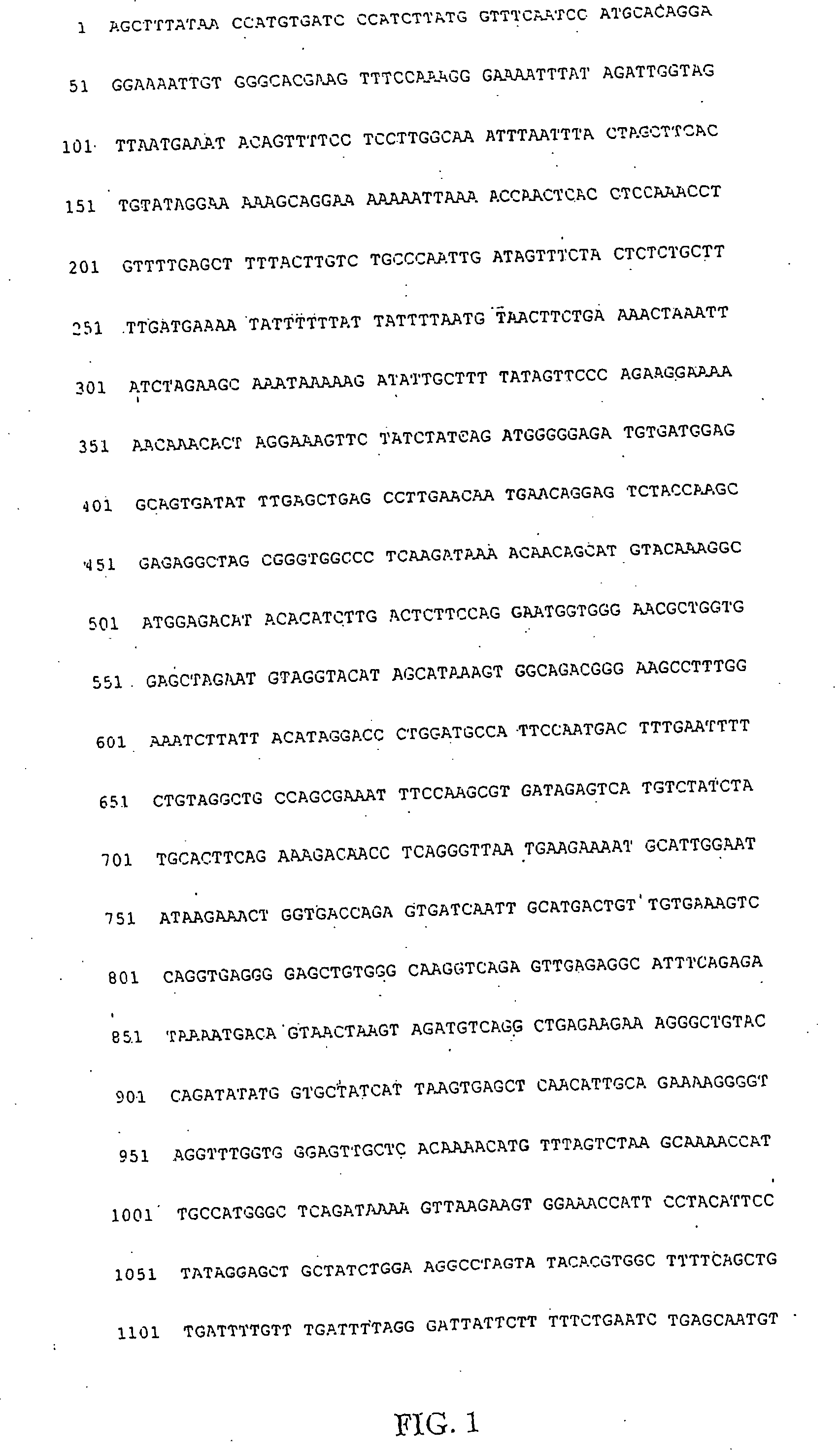 Gastrokines and derived peptides including inhibitors