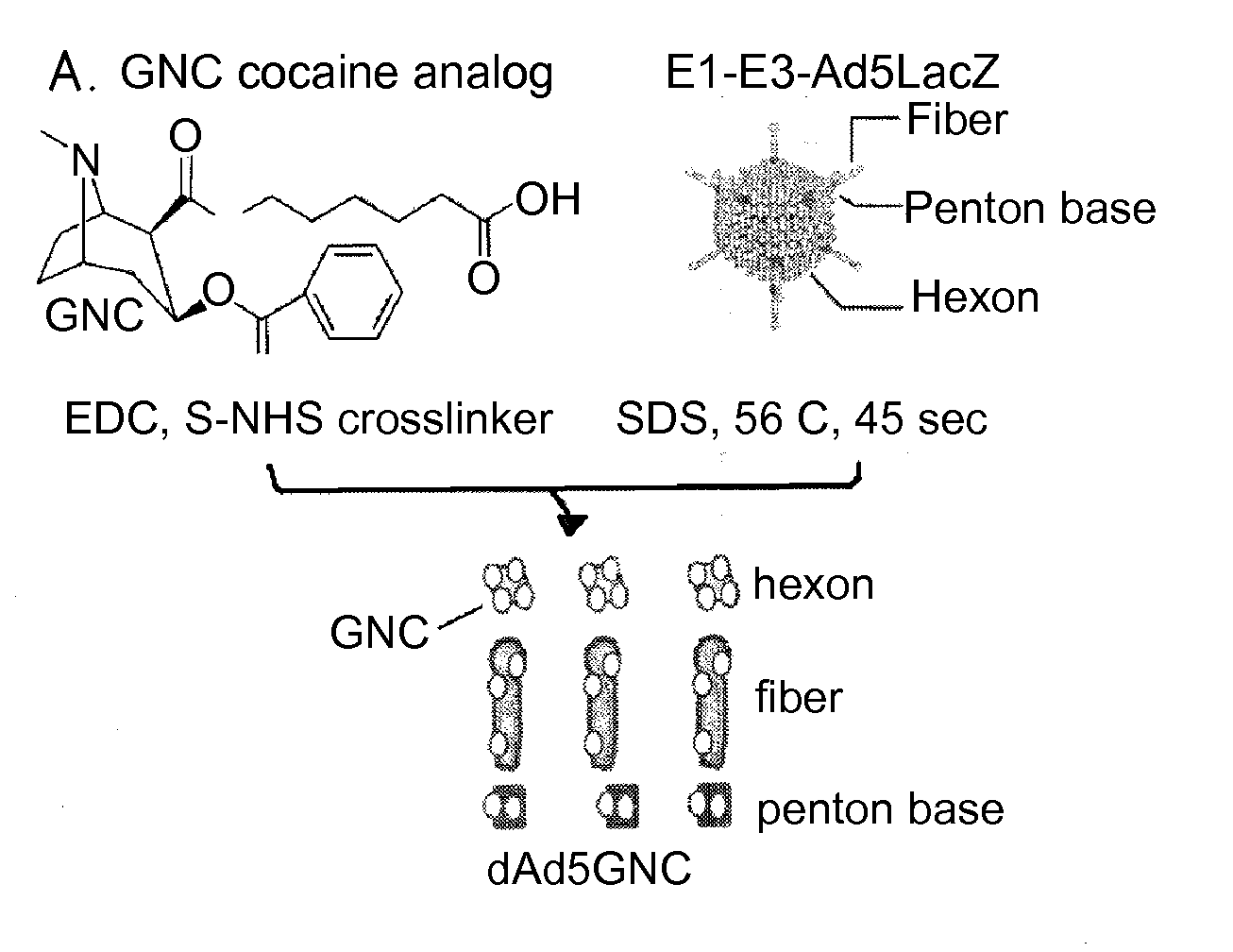 Disrupted adenovirus-based vaccine against drugs of abuse