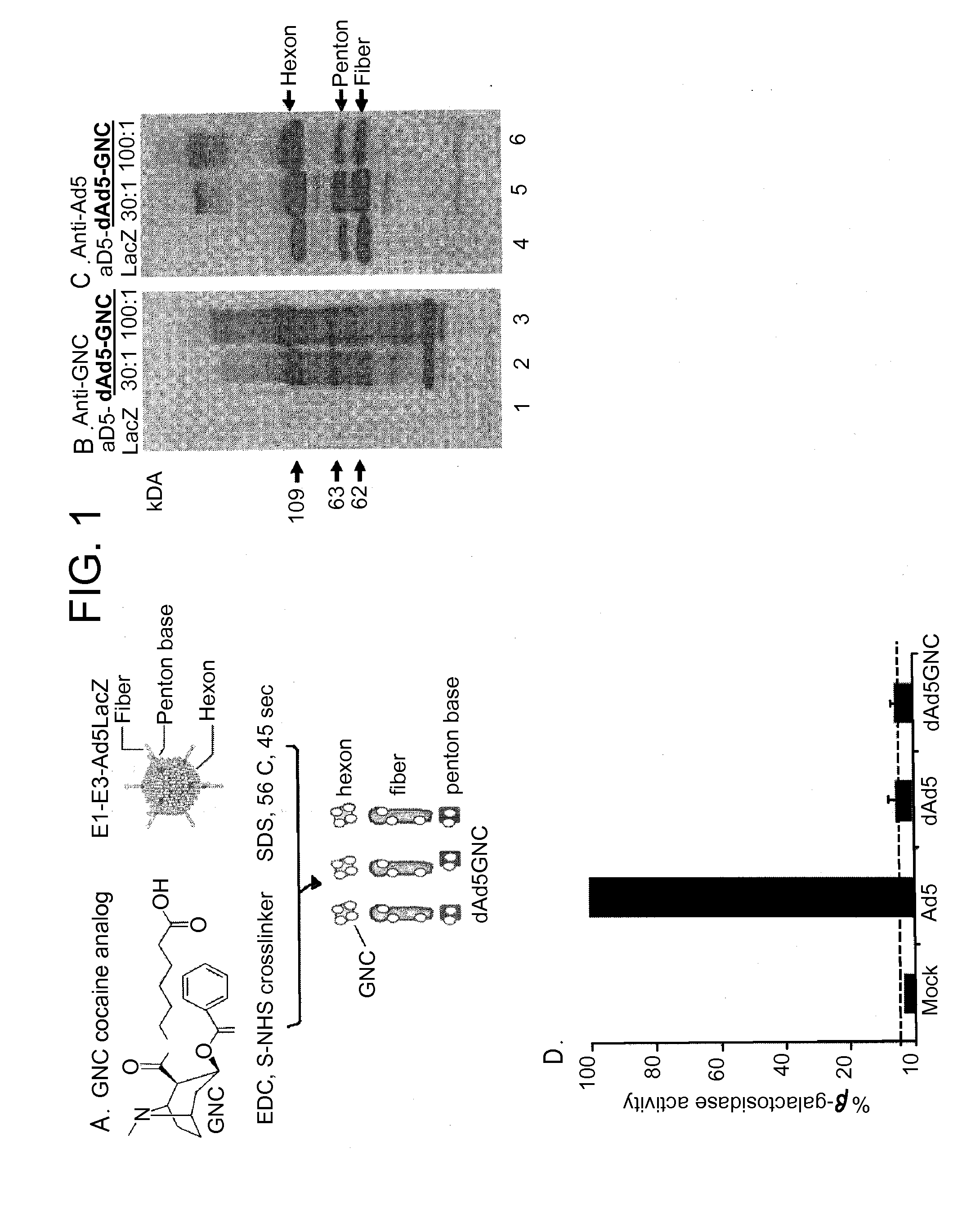 Disrupted adenovirus-based vaccine against drugs of abuse