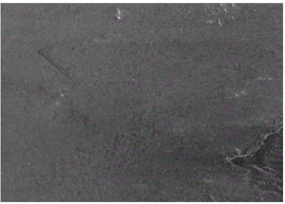 Oily high-temperature resistant coating material, application thereof and titanium ingot production method