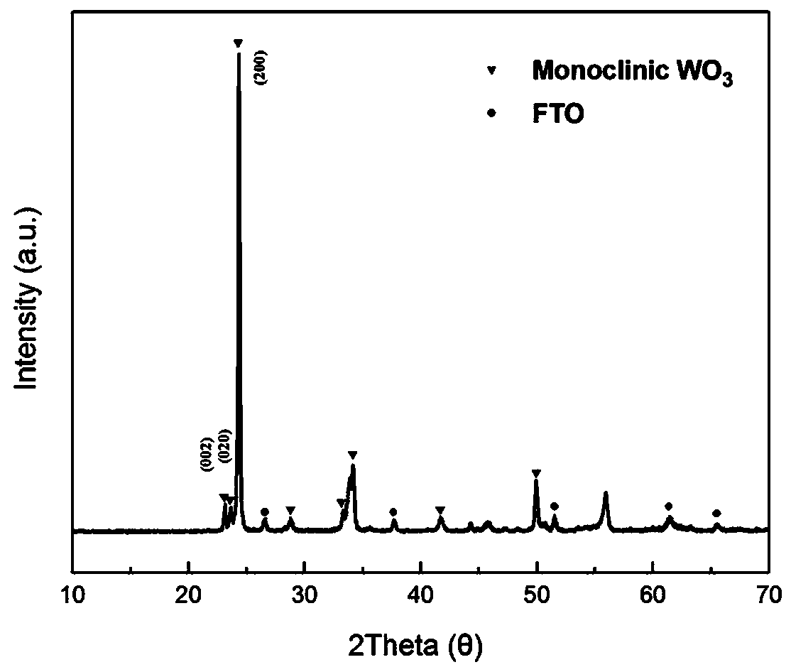 Layered tungsten trioxide photoelectrode material and preparation method thereof