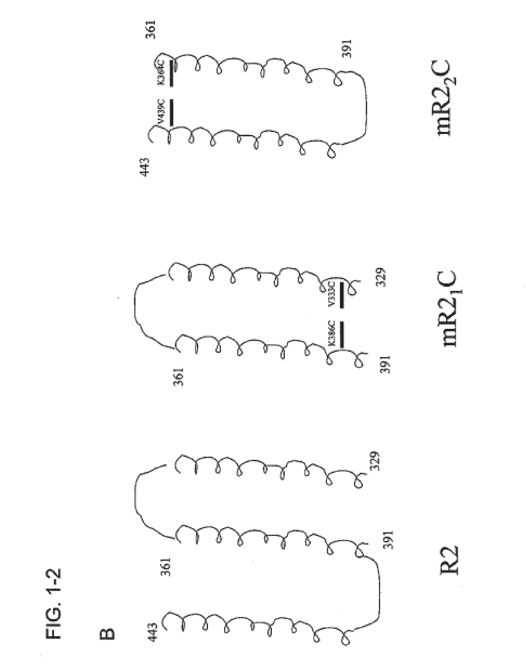 Synthetic streptococcus pneumoniae vaccine