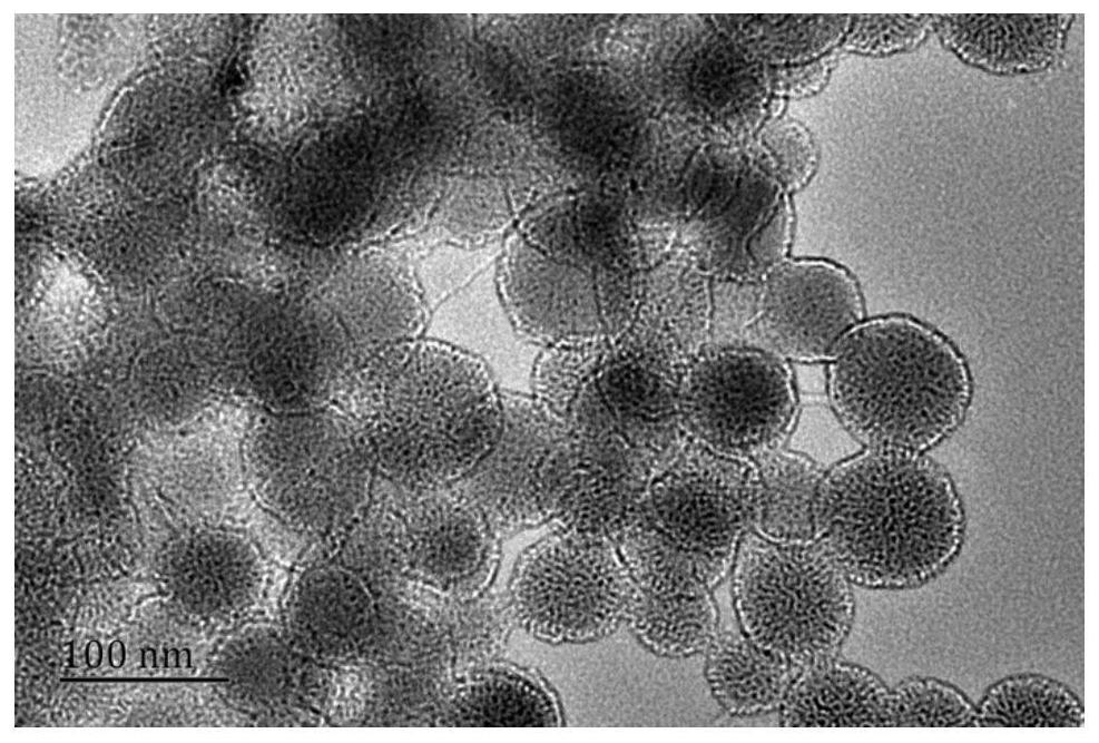 Mesoporous/hollow silica nanocarrier delivery system for targeted activation of CD44 molecules, its preparation method and use