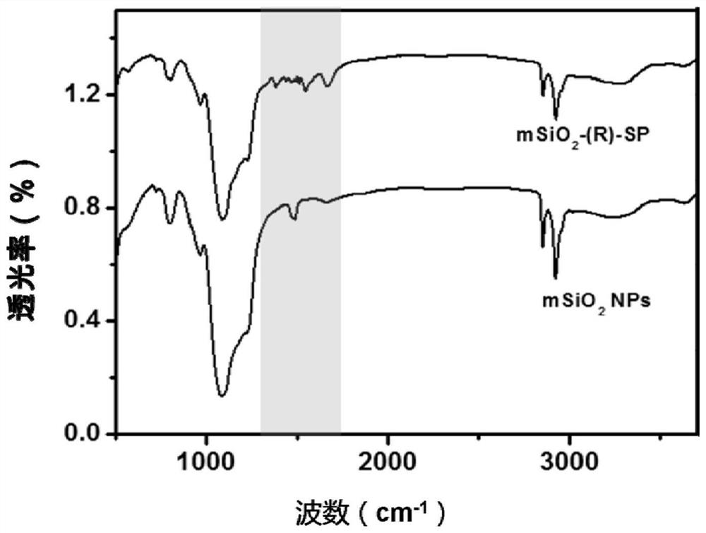 Mesoporous/hollow silica nanocarrier delivery system for targeted activation of CD44 molecules, its preparation method and use