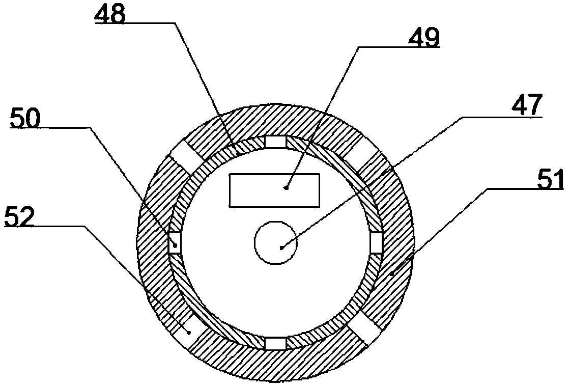 White tea processing technology