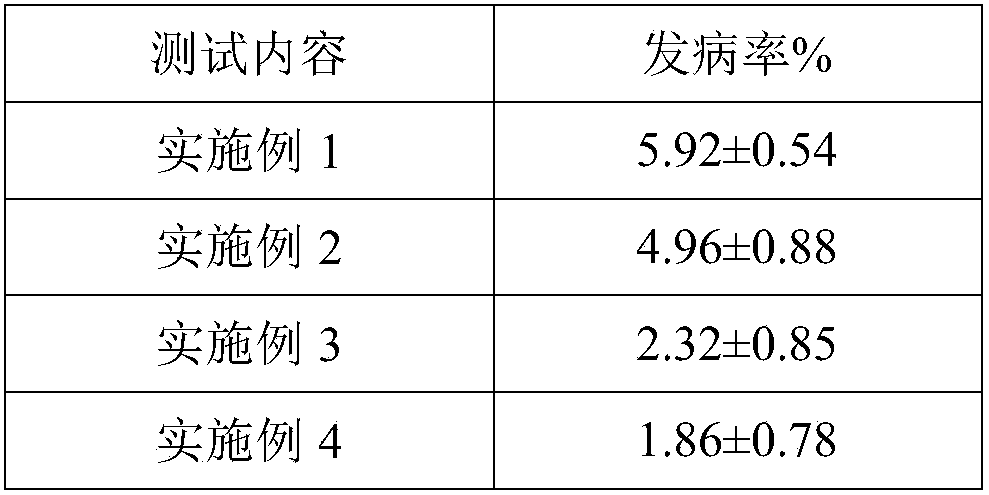 Biological organic fertilizer for preventing and curing pepper bacterial wilt and preparation method thereof