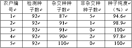 Primer for identifying purity of brassica rapa L. ssp. chinensis makino sujun 316 seeds and application