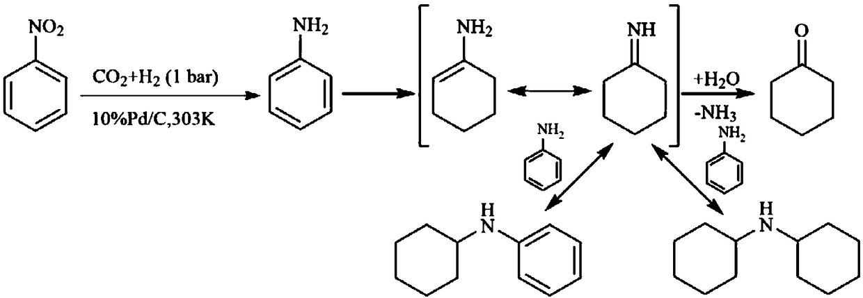 Method for synthesizing cyclohexanone by accelerating hydrogenation of aromatic compounds with carbon dioxide