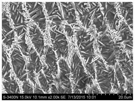 TiB&lt;w&gt;-Ti composite layer and laser in-situ preparation method thereof