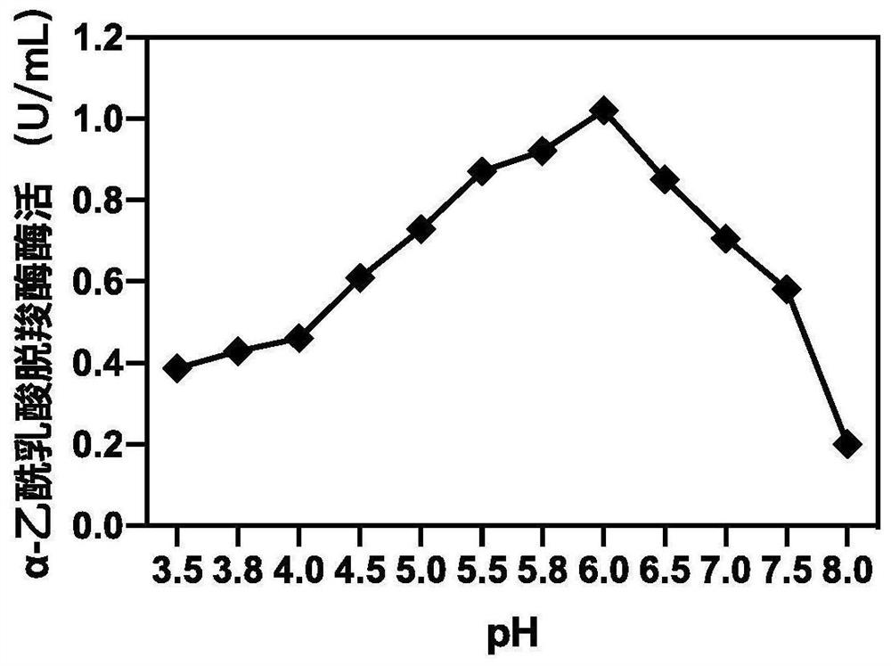 Bacillus vallismortis and application thereof in vinegar brewing