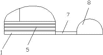 Novel mouse structure