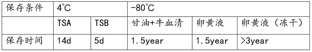 Serum-12 type haemophilus lus paradis vaccine strain and application thereof