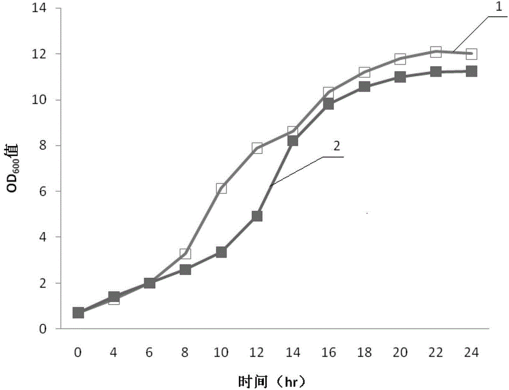 Bacterium for fermenting L-tryptophan from mixed saccharum and fermentation method thereof