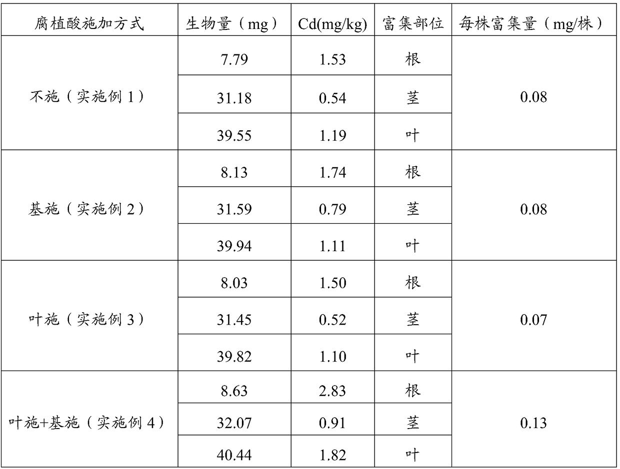 Method for combined remediation of heavy metal polluted soil through castor-humic acid