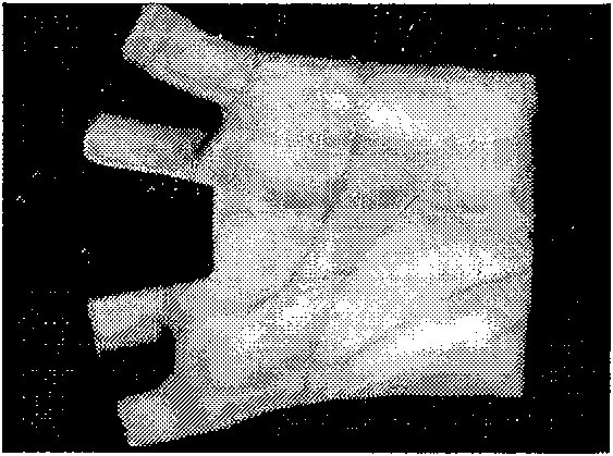 Highly precise safe palm recognition method encrypted based on phase characteristic of Log-Gabor mixed filtering