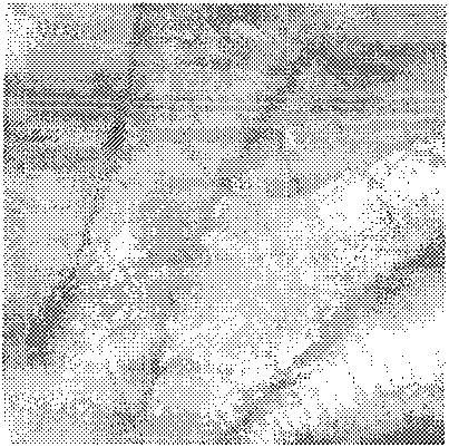 Highly precise safe palm recognition method encrypted based on phase characteristic of Log-Gabor mixed filtering