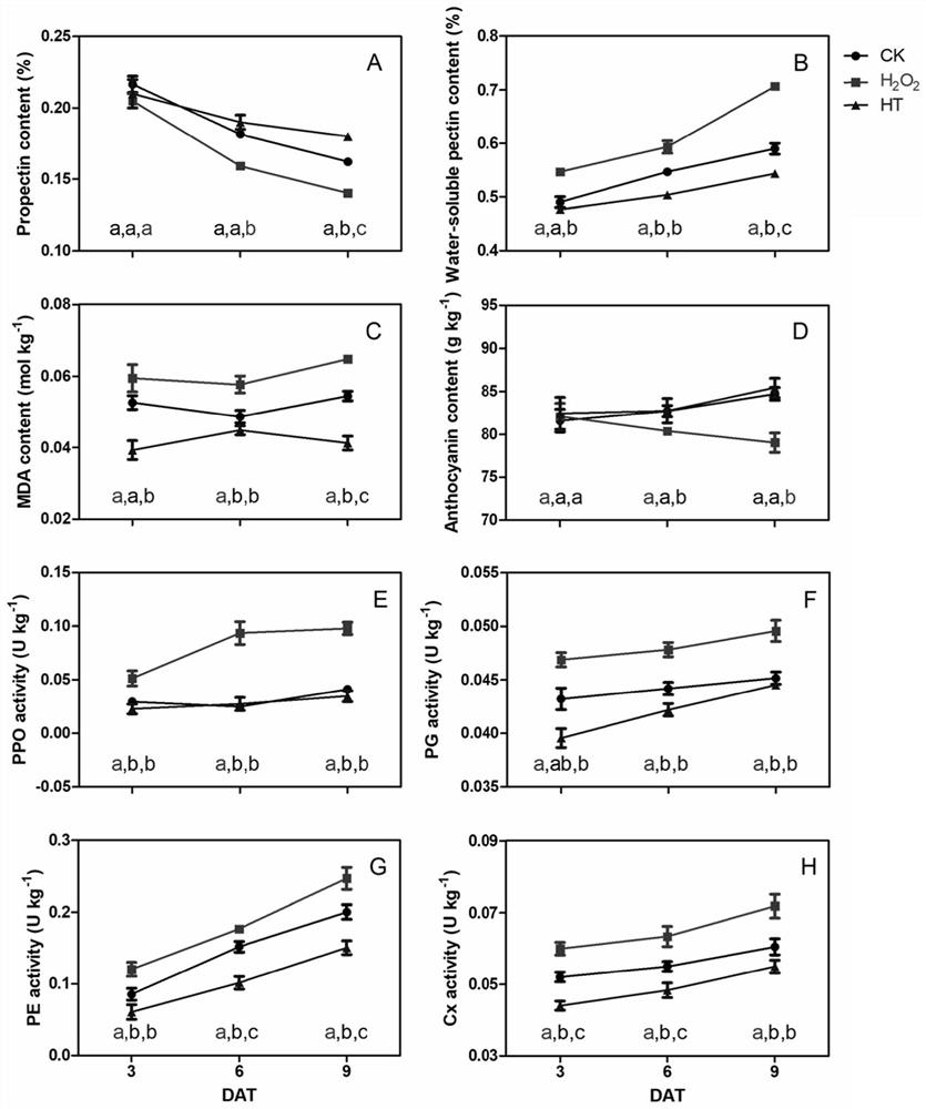 Method for screening transcription factors related to postharvest softening of grape fruits