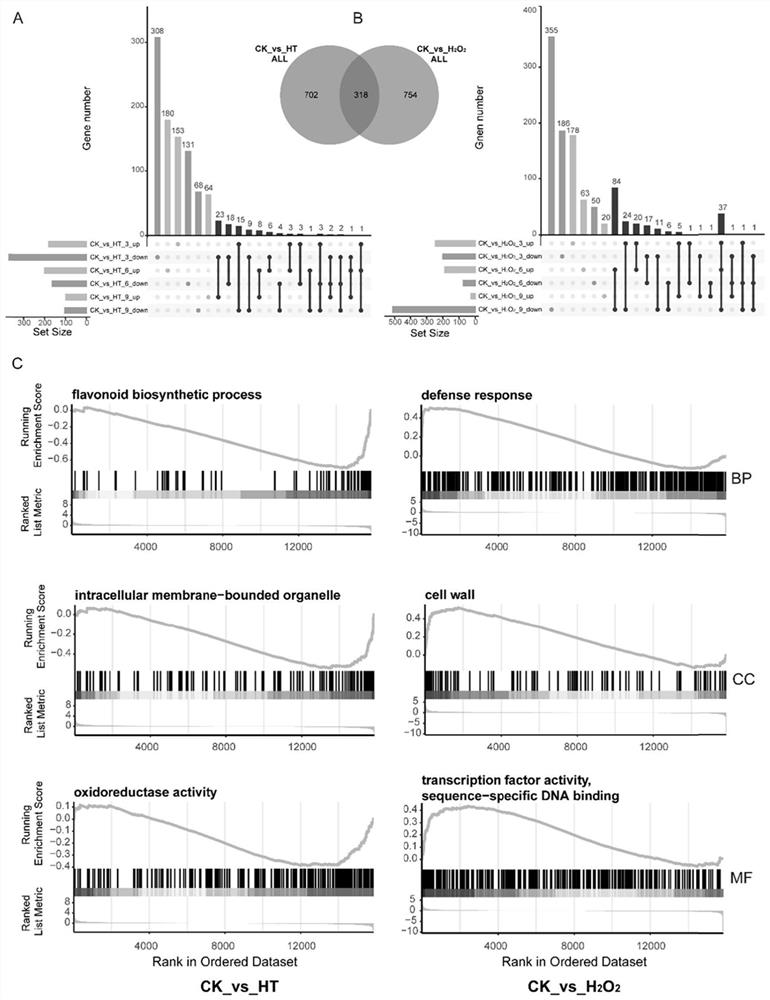 Method for screening transcription factors related to postharvest softening of grape fruits