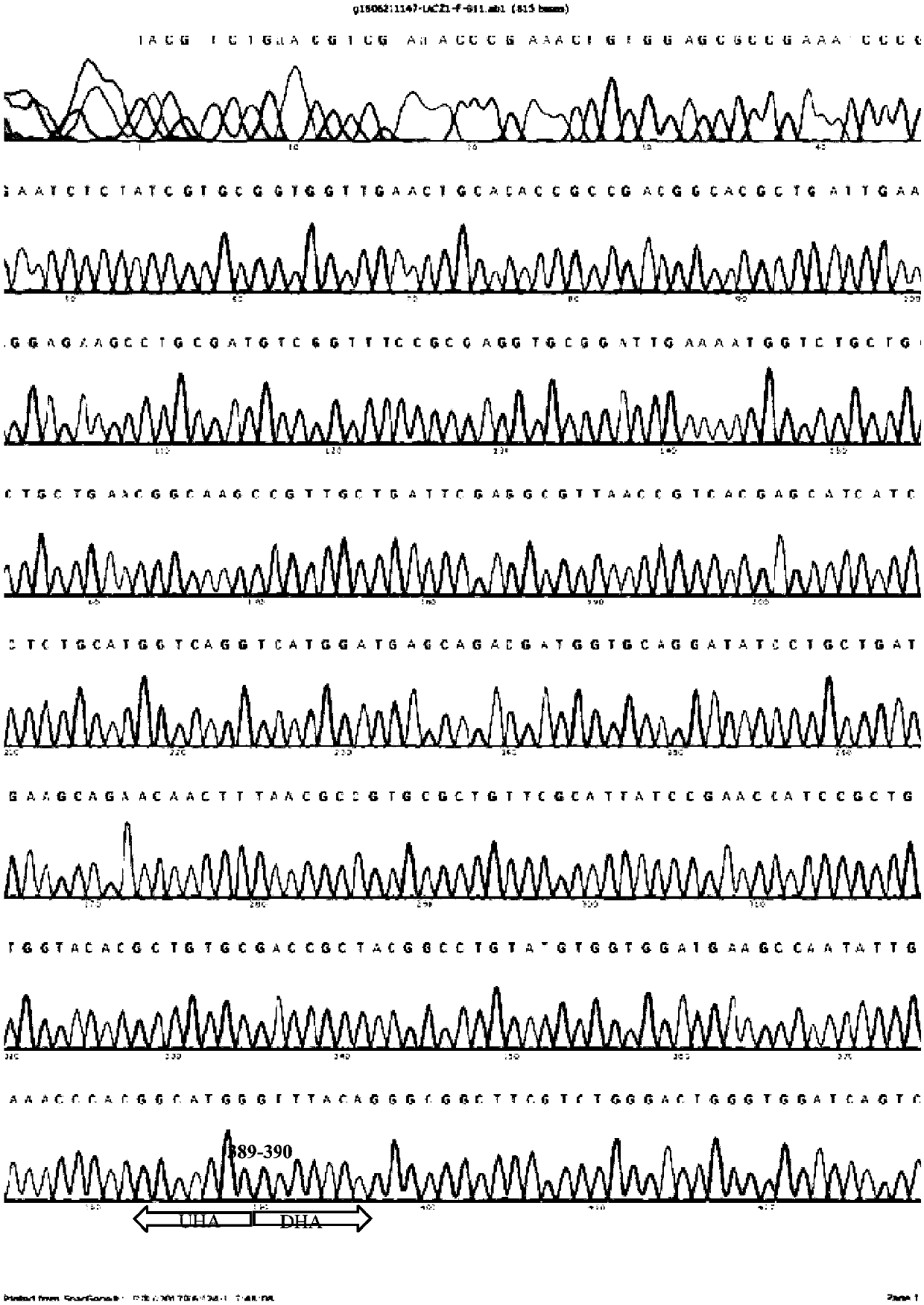 Gene editing method based on gene cas3 of I-B type CRISPR-Cas system