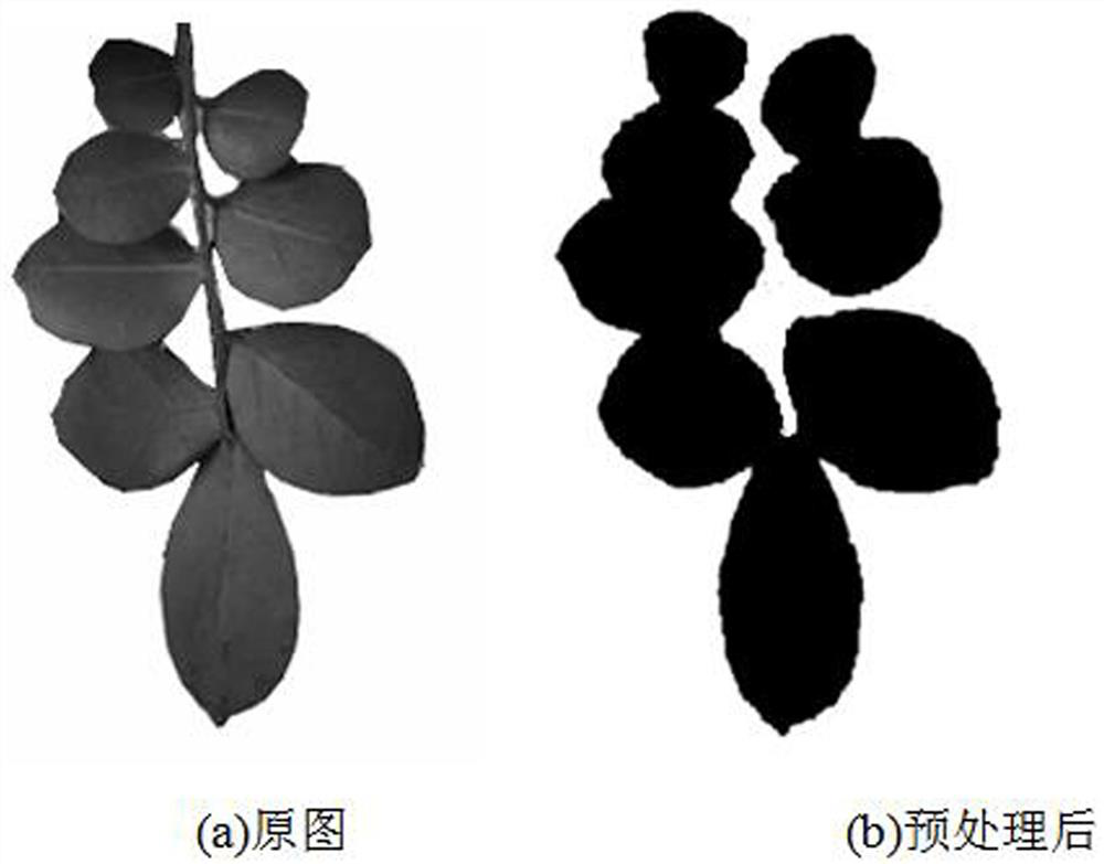 Elliptical object segmentation method based on ellipse fitting