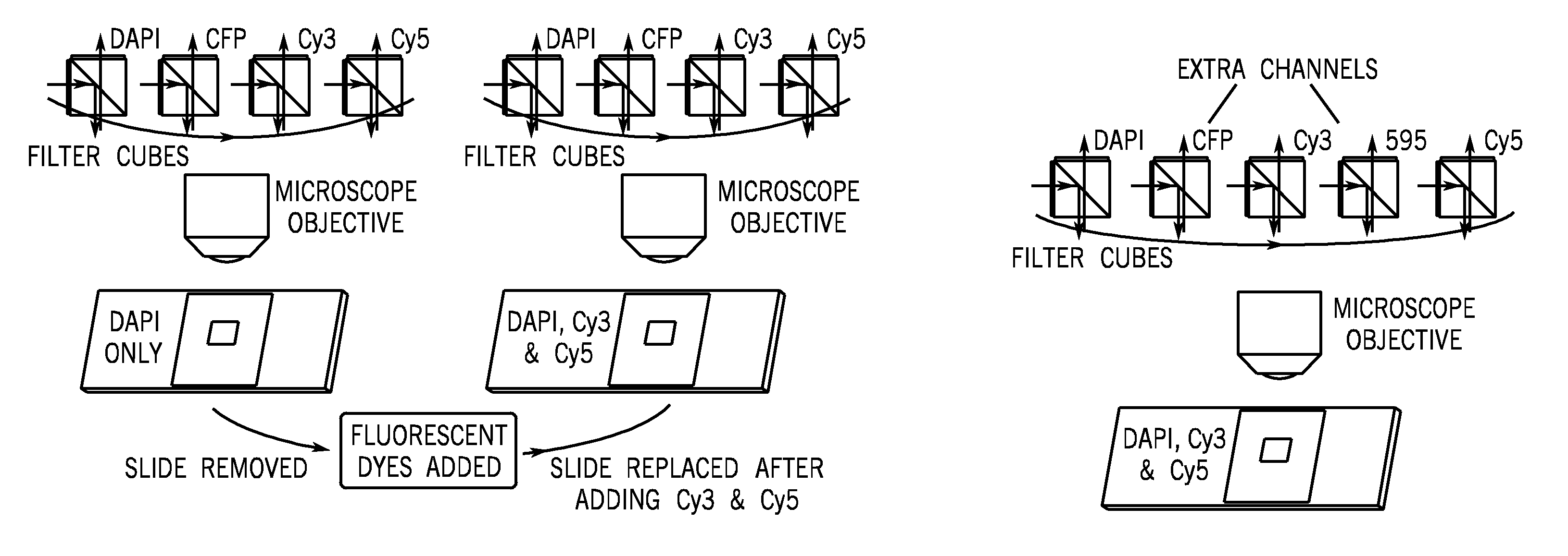 Method and apparatus for removing tissue autofluorescence