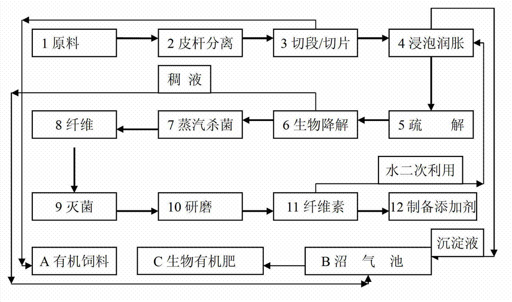 Acinetobacter lwoffii and method for preparing cellulose for additive using same