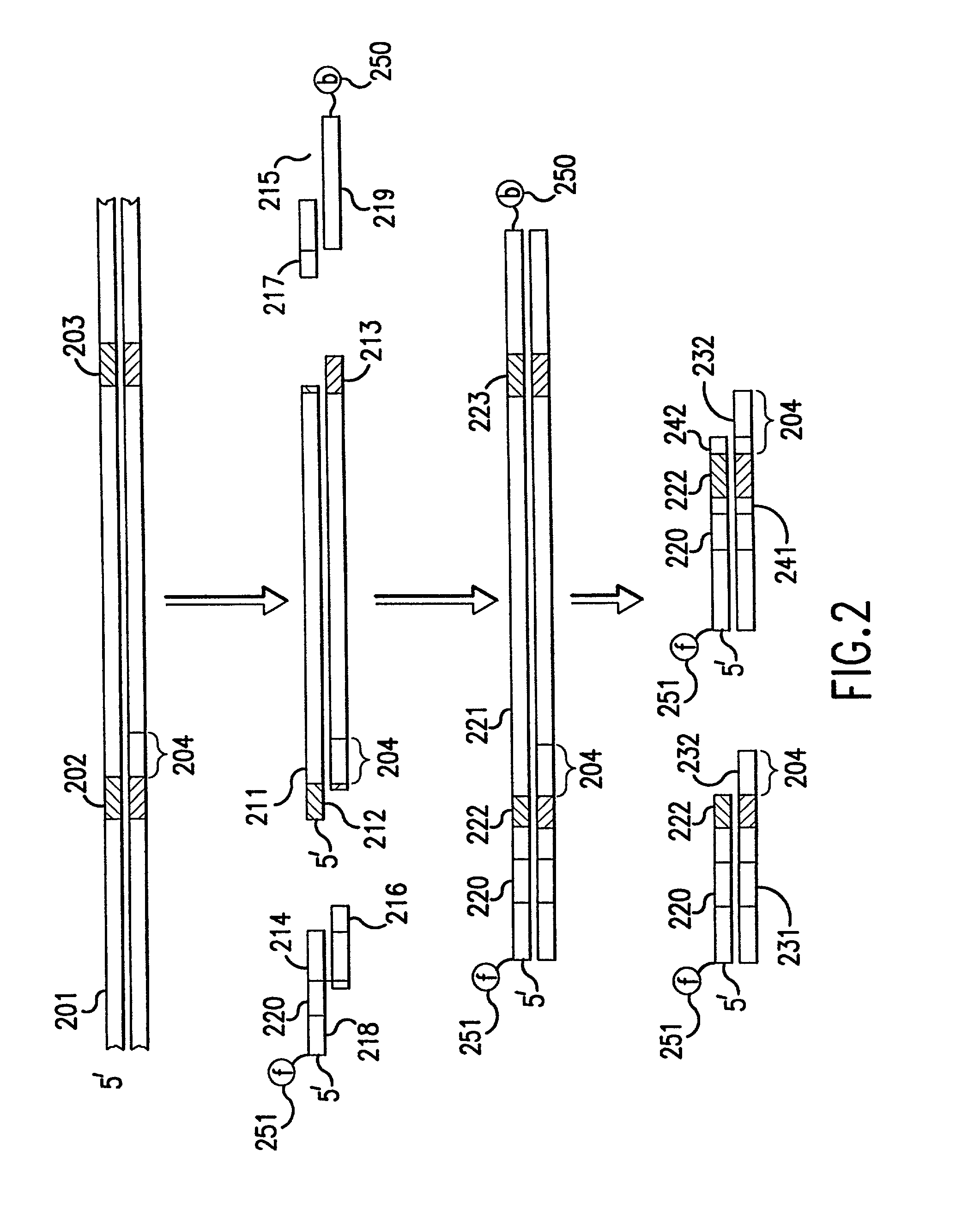 Methods and devices for measuring differential gene expression