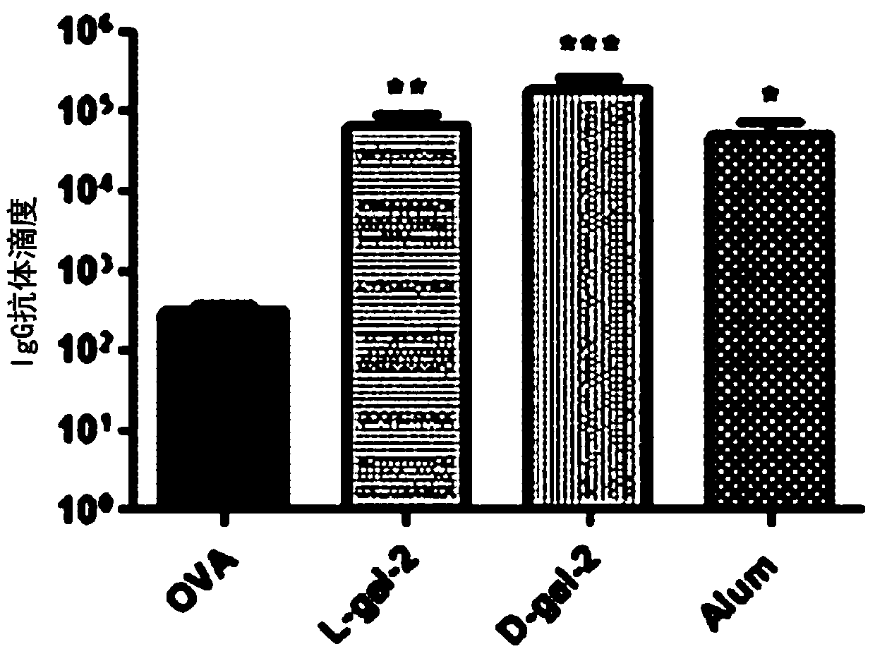 Application of polypeptide hydrogel serving as protein vaccine adjuvant and protein vaccine