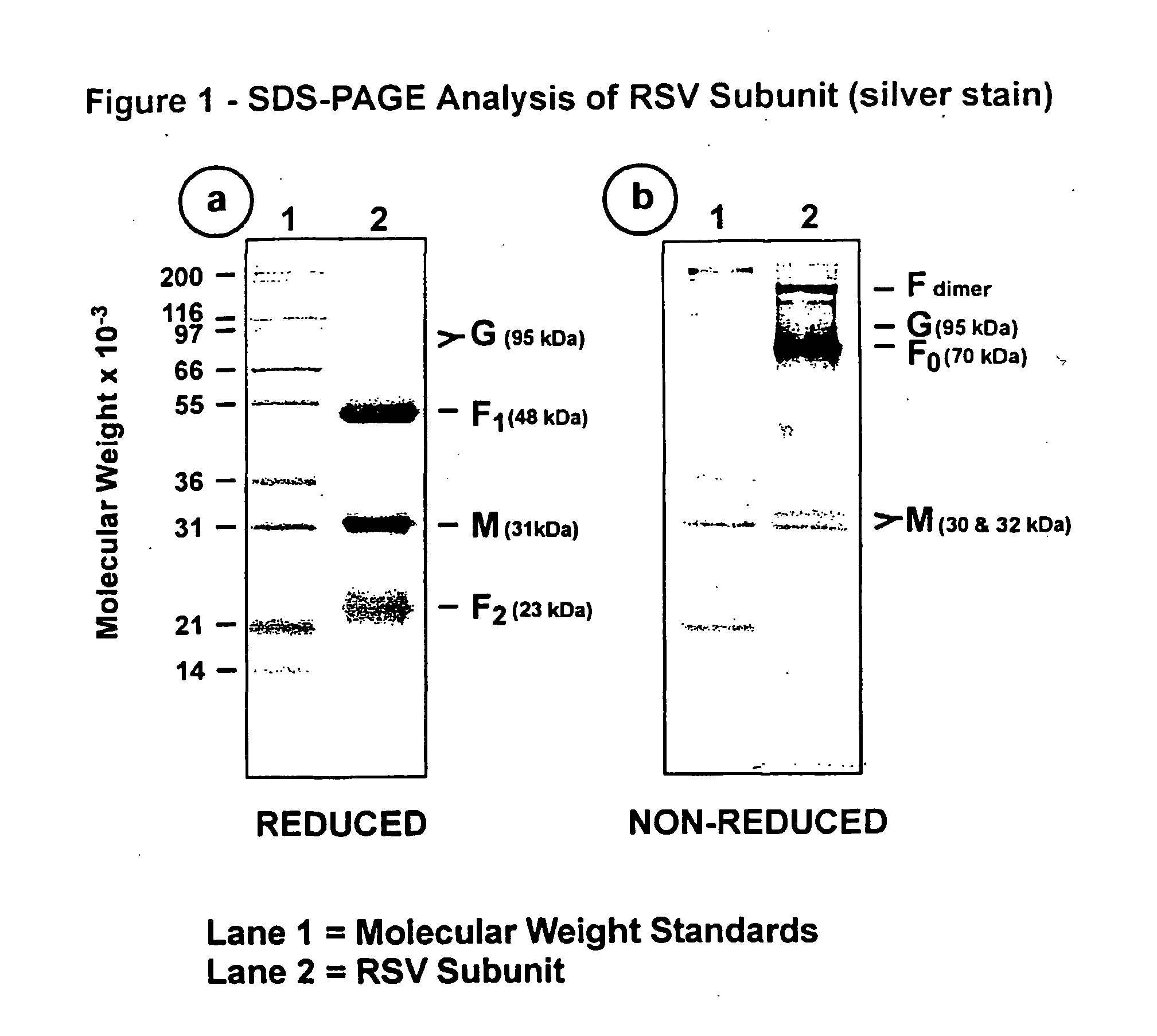 Subunit respiratory syncytial virus vaccine preparation