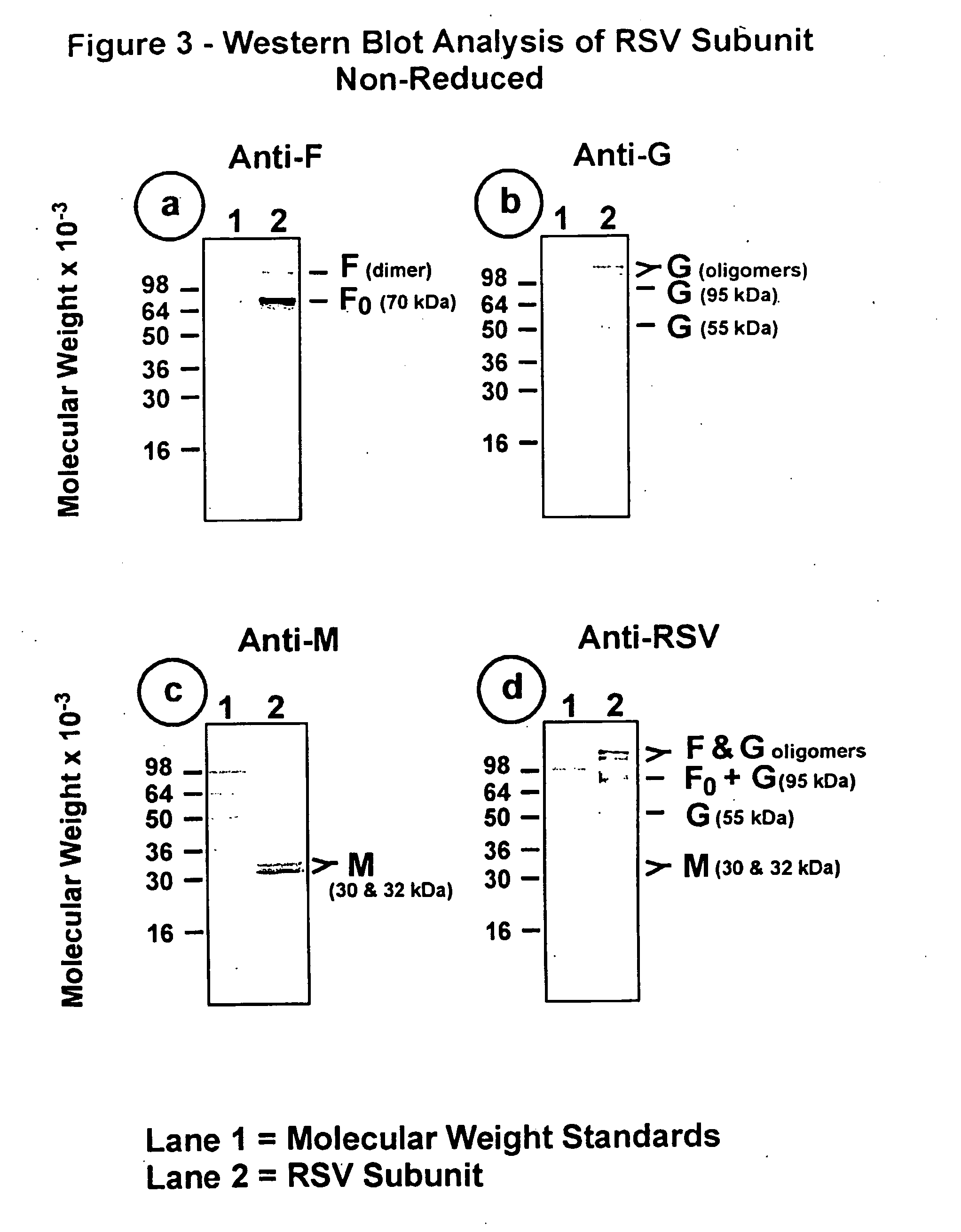 Subunit respiratory syncytial virus vaccine preparation